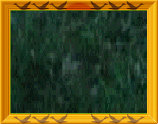 estreme_world_hunting_adventure006002.jpg