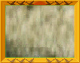 estreme_world_hunting_adventure006012.jpg